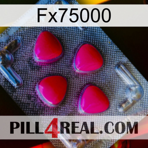 Fx75000 13.jpg